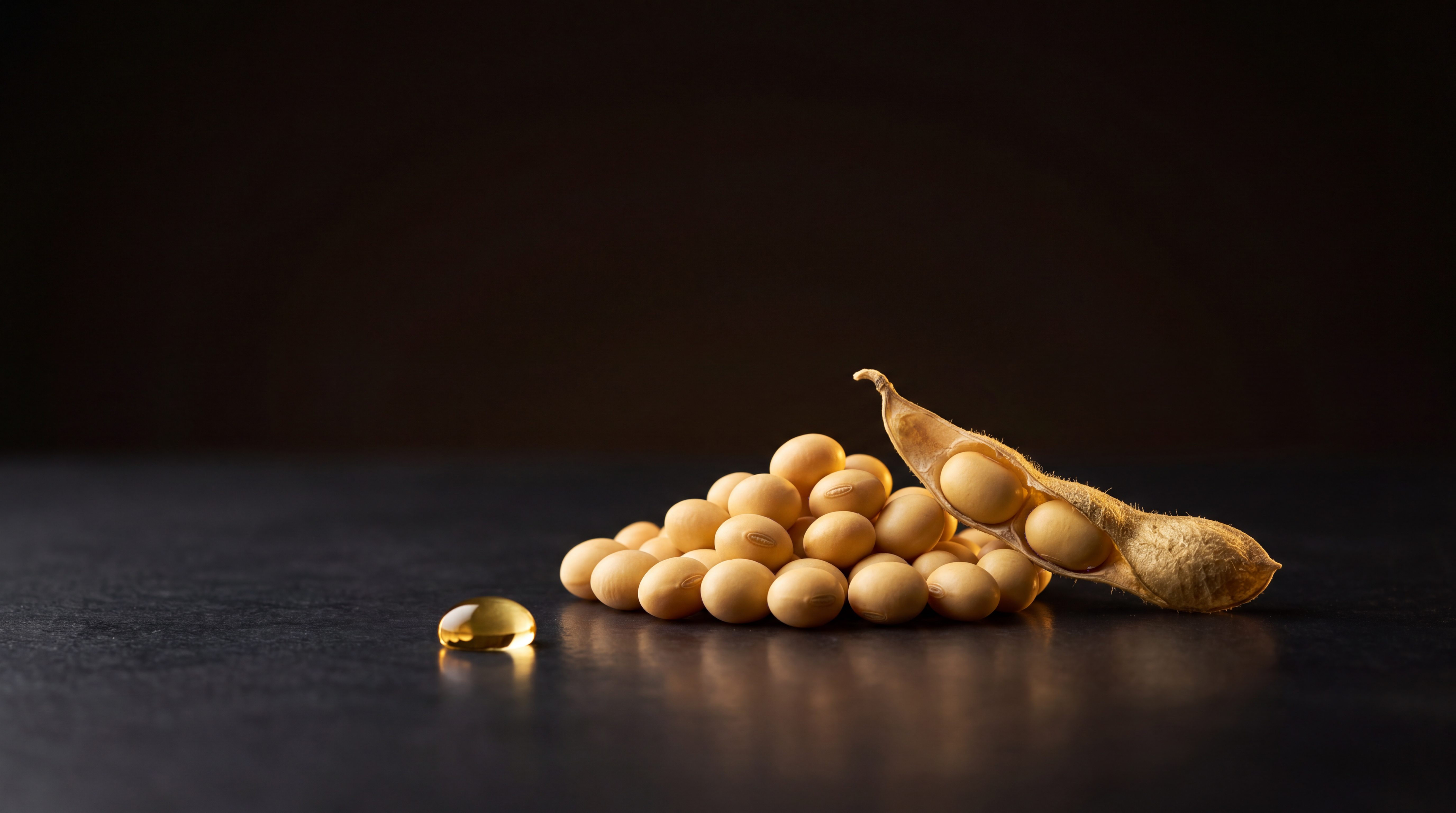 Соя — белок и масло в Китай